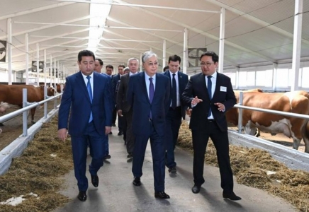 Президент «Қызылжар-Сүт» фермасына барды