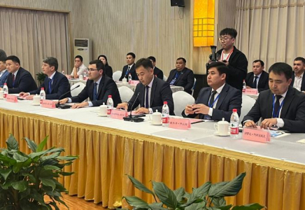 Түркістандық делегациясы Қытай инвесторларымен кездесті