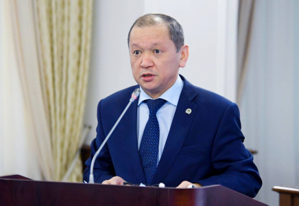 Мүгедектік бойынша бірқатар жәрдемақы қайта қаралады – Еңбек министрі