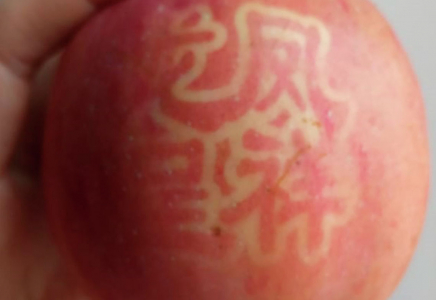Яблоки с китайскими иероглифами напугали казахстанцев