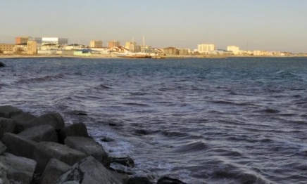 Каспий теңізінде экскаватор құлады – видео