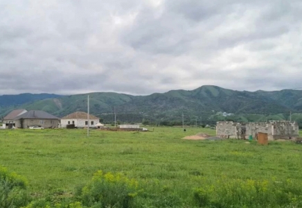 Алматы облысында бүтін бір ауыл бір ғана отбасының меншігіне айналған