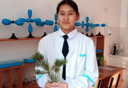 Ақмолалық оқушы Бурабайдағы қарағай инелерінен аскорбин қышқылын өндіреді