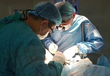 Шымкентте 200-ге жуық бүйрек пен бауыр трансплантациясы жасалған