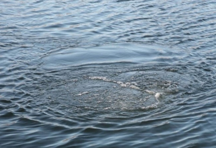 Қызылордада бес жасар бала канал суына құлап көз жұмды