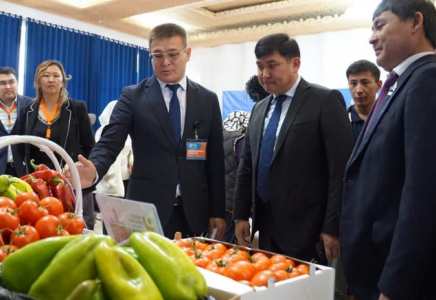 ТҮРКІСТАН: Ордабасыда «Нәтижелер жәрмеңкесі» өтті ТҮРКІСТАН: Ордабасыда «Нәтижелер жәрмеңкесі» өтті