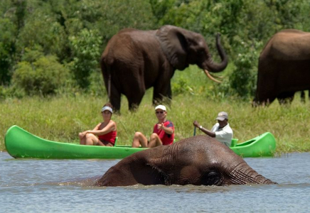 ШЕТЕЛДЕГІ ҚАУІП: қандай ережелерді естен шығармау керек ШЕТЕЛДЕГІ ҚАУІП: қандай ережелерді естен шығармау керек
