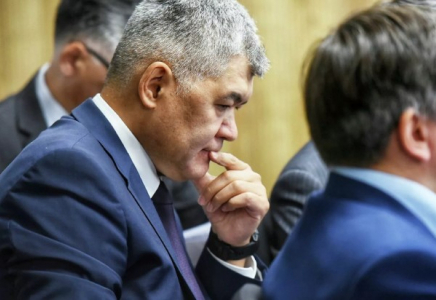 Экс-министр Біртанов Тоқаевтан көмек сұрады