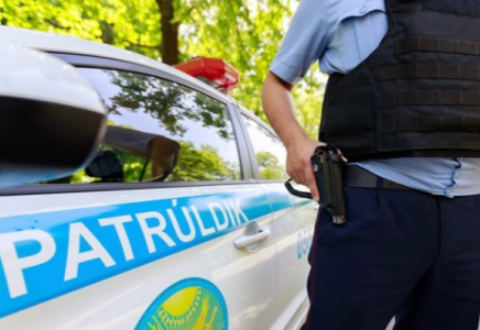 Жетісу облысында полицейлер мас жүргізуші мінген көлікті оқ атып тоқтатты