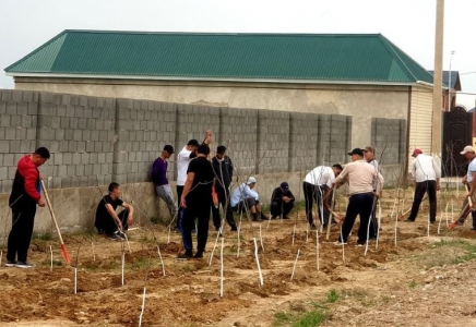 Мақтааралдық жастар Түркістанда 2 мыңнан аса ағаш көшетін отырғызды