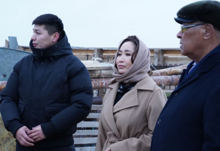 ​Каракат Абден встретилась с жителями Кызылординской области