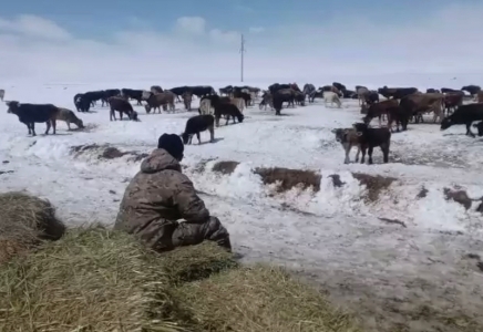 Қырғызстанда қалың қар жауып, аудандардың бірінде төтенше жағдай режимі енгізілді