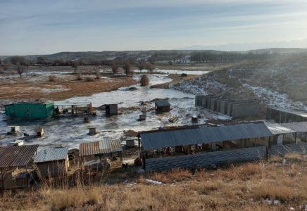Алматы облысында бөгеттің бұзылуы: Иттер ұсталатын паналау орнына су кірді