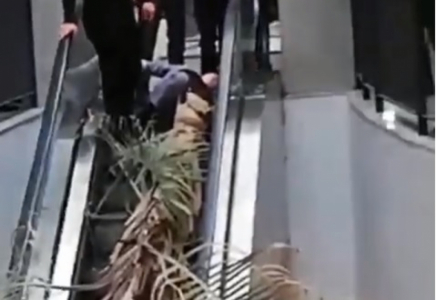 Пальма упала с 4 этажа на девушку в ТРЦ Астаны (ВИДЕО 18+)
