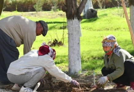 ТҮРКІСТАН:  Мерекеде «Бірге – таза Қазақстан» атты экологиялық акциясы ұйымдастырылды