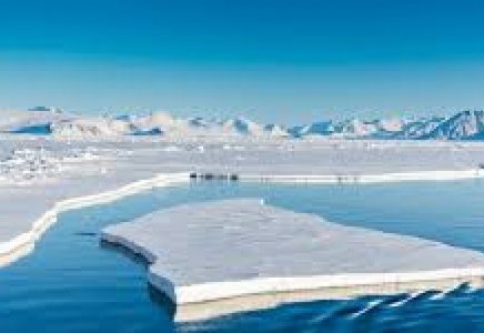 Арктикада алдағы 35 жыл ішінде бүкіл мұз ериді – ғалымдар