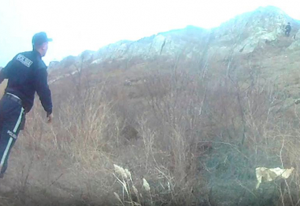 СҚО-да фотоға түспек болған бойжеткен 30 м биіктіктен құлады (видео)