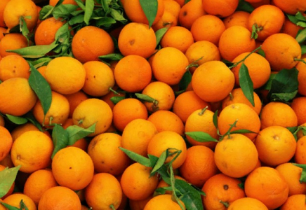 Ақтөбе тұрғындары апельсин мен мандариннен балалар көз жұмғанын хабарлады
