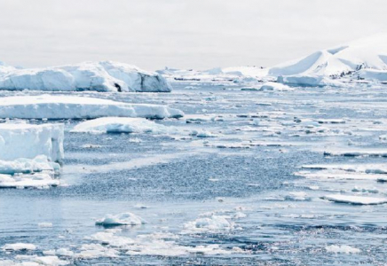 Соңғы 18 жылда Арктиканың 30% мұзы еріп кеткен – ғалымдар