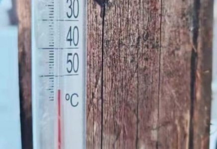 Минус 55: Семей орманында соңғы жиырма жылдағы ең төмен температура тіркелді