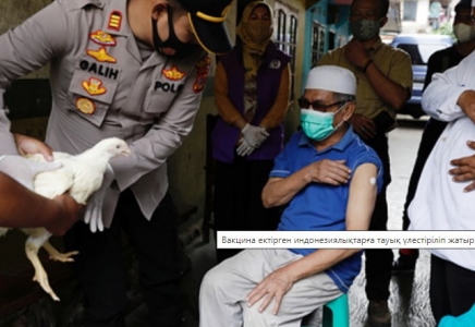 Вакцина ектірген индонезиялықтарға тауық үлестіріліп жатыр