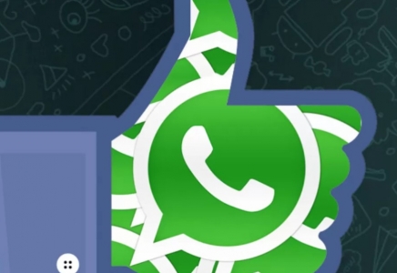 WhatsApp-та жаңа пайдалы функция пайда болады
