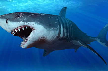 ​Бәстескен оқушы акула толы суға сүңгіп кетті (видео)