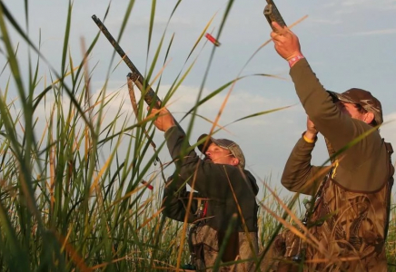 ​В Казахстане вводится запрет на весеннюю охоту