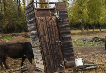 Алматы облысында екі бала дәретхана шұңқырына түсіп кетті
