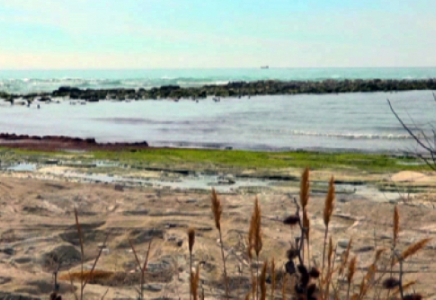 ​Ақтау тұрғындары Каспий суының таяздануына алаңдаулы