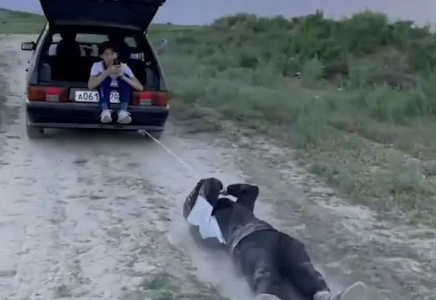 Түркістандық жігіт досын көлікпен сүйреген (видео)