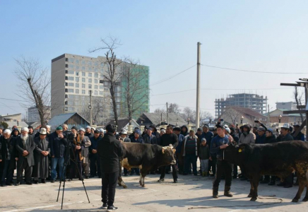 Қырғызстан мүфтияты коронавирусқа қарсы құрбандық шалды