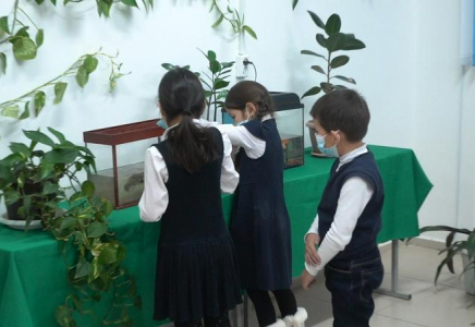 Атырауда оқушылар мектепте ботаникалық бақ жасақтап, тоты құс өсіріп жатыр