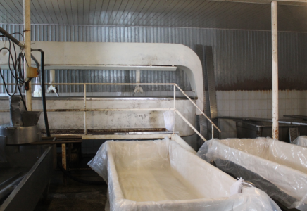 ТҮРКІСТАН: Сайрамдық кәсіпкер күніне 10 тонна сүтті өңдейді