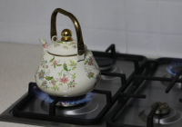 ТҮРКІСТАН: Мақтаарал ауданында 64-ші ауыл газға қосылды