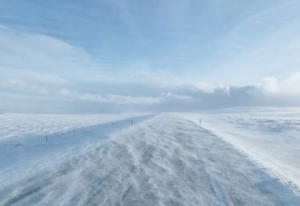 Жамбыл облысында көлік қозғалысына шектеу қойылды