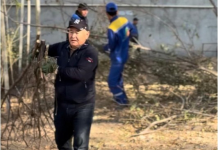 ​«Таза Қазақстан»: жители Шымкента вносят вклад в улучшение экологического облика города