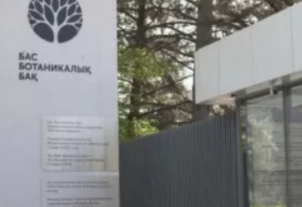 Алматыда аққуға қатыгездік көрсеткен ер адам 7 тәулікке қамалды