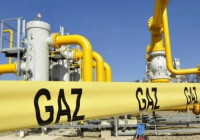Өзбекстанда ірі газ кен орны табылды