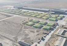 МАҚТА ӨСІРУДЕН КИІМ ДАЙЫНДАУҒА ДЕЙІН: Түркістан облысында ауқымды кластер құрылады