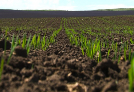 Үкіметте шаруаларға түсетін қаржылық жүктемені азайту шаралары қаралды