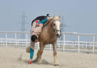 ​ШЫМКЕНТТЕ НАУРЫЗНАМА ОНКҮНДІГІ АЯСЫНДА ҰЛТТЫҚ СПОРТ ТҮРЛЕРІНЕН САЙЫСТАР ӨТТІ