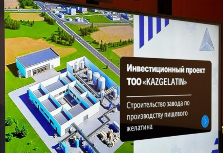 Қазақстанда жылына 10 мың тонна қуаттылықтағы тағамдық желатин өндіру зауыты салынады