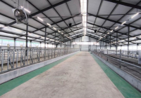 Қостанай облысында 1200 бас малға арналған сүт-тауарлы ферма іске қосылды