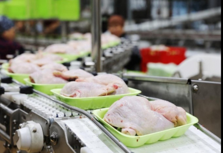 Қазақстанда 2025 жылы жалпы ет өндірісі 1,2 млн тоннаны құрады