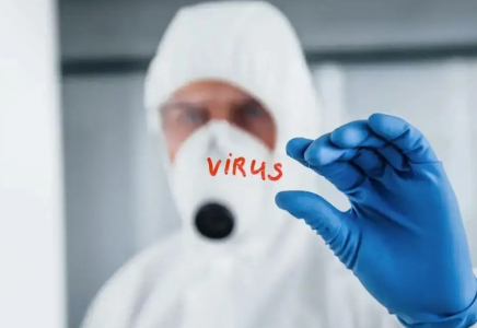 Өлімге әкелетін хантавирус: Британияда жаңа вакцина әзірленіп жатыр