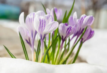 Қазақстанда күн жылынады