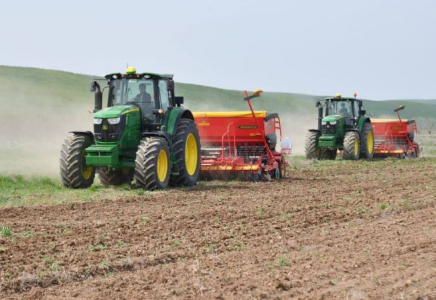 Түркістан облысында егістік алқап ұлғайып, өнімділік артты