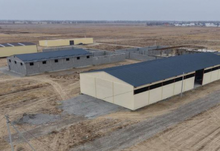 ТҮРКІСТАН: Сауранда өндіріске арналған 140-қа жуық ғимарат салынып жатыр