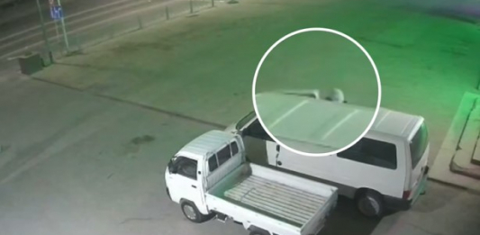 Автотұрақтан мініп кеткен: ​Шымкентте ұрланған көлік иесіне қайтарылды